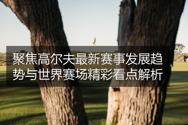 聚焦高尔夫最新赛事发展趋势与世界赛场精彩看点解析