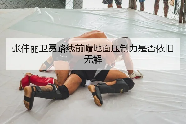 张伟丽卫冕路线前瞻地面压制力是否依旧无解